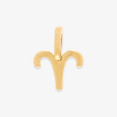Harper Zodiac Charm