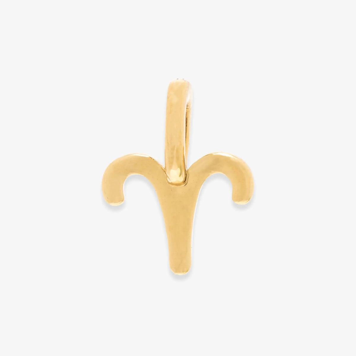 Harper Zodiac Charm